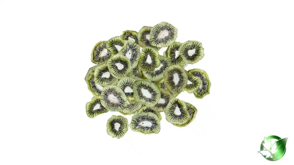 Bulk Dried Kiwi | Suppliers | Wholesale | ParsaFood Global
